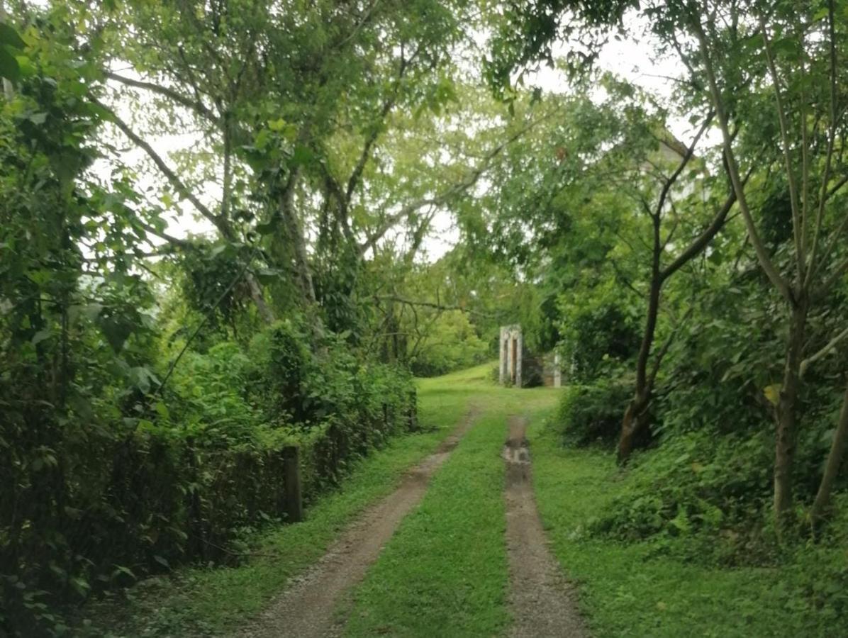 Casa Camino A Las Pozas Xilitla Eksteriør billede
