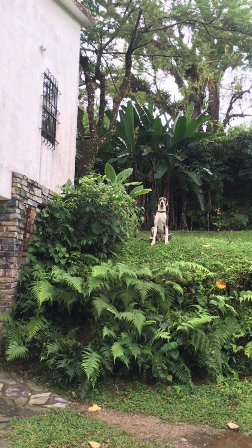 Casa Camino A Las Pozas Xilitla Eksteriør billede